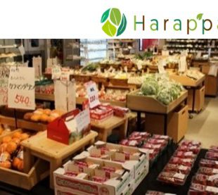 合同会社Harappa(はらっぱ)