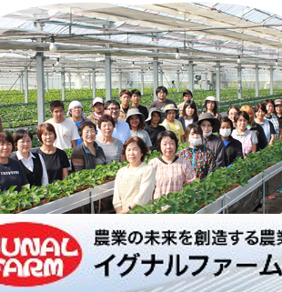 株式会社 イグナルファーム