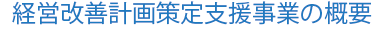 経営改善計画策定支援事業の概要